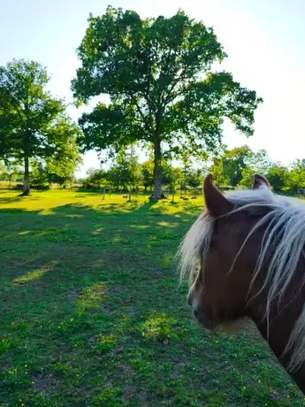 coaching développement personnel Ille-et-Vilaine-1