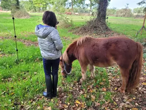 coaching développement personnel à Ille-et-Vilaine - image 4