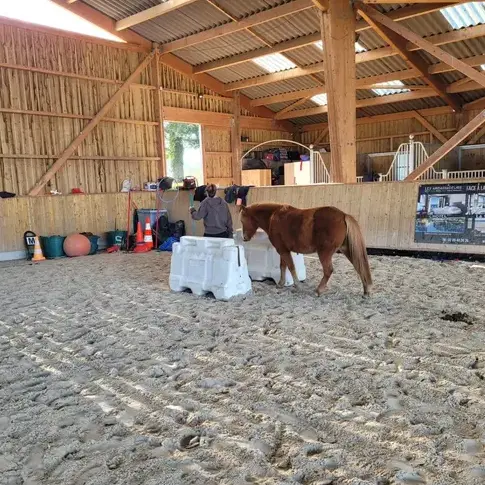 coaching développement personnel à Normandie - image 2