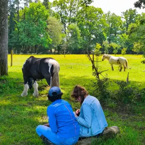 coaching développement personnel à Normandie - image 3