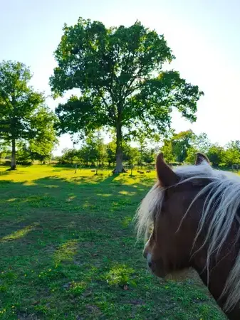coaching développement personnel à Normandie - image 4