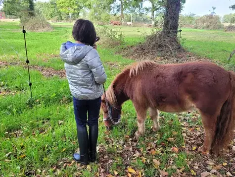 coaching développement personnel Normandie-5
