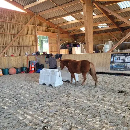 coaching développement personnel à Pontorson - image 3