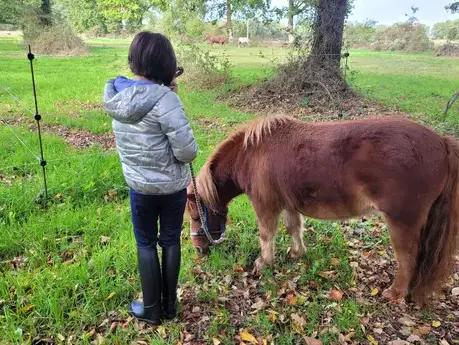 coaching développement personnel à Pontorson - image 4