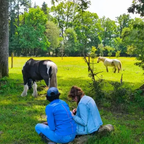 coaching développement personnel Pontorson-5