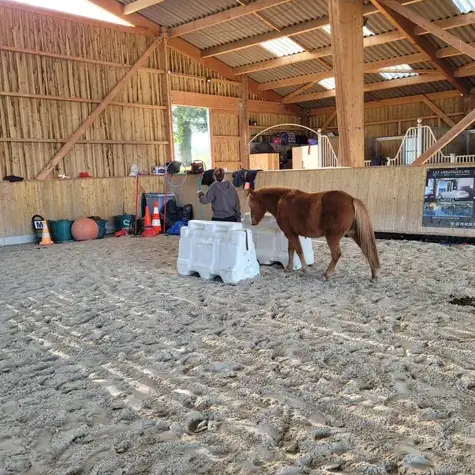 domaine équestre à Avranches - image 2