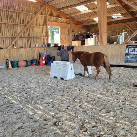 domaine équestre à Bretagne - image 3