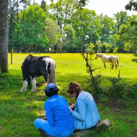 domaine équestre à Combourg - image 3