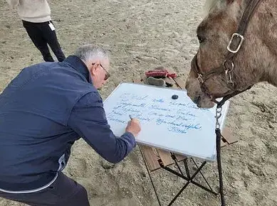 domaine équestre Combourg-5