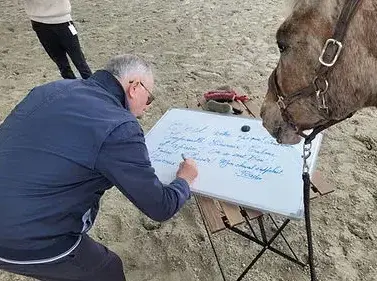 domaine équestre Dol-de-Bretagne-1
