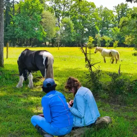 domaine équestre à Dol-de-Bretagne - image 4