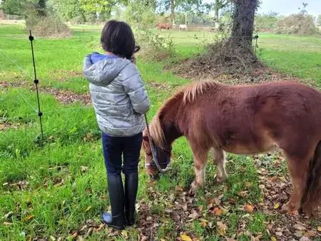 domaine équestre Fougères-1