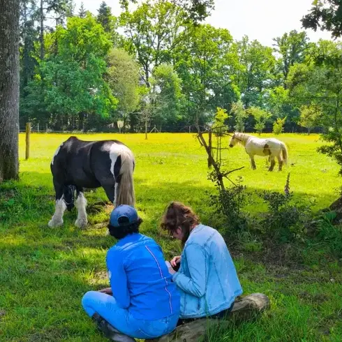 domaine équestre à Fougères - image 2