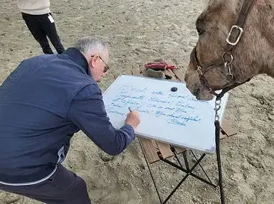domaine équestre à Fougères - image 4