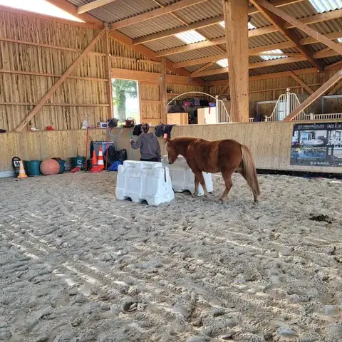 domaine équestre Maen Roch-1