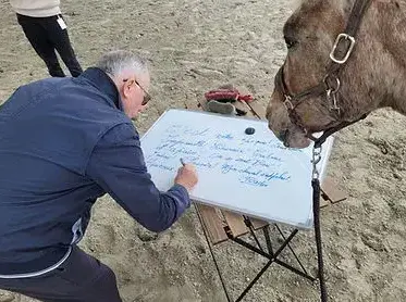 domaine équestre à Maen Roch - image 4