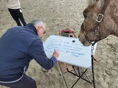 domaine équestre à Normandie - image 4