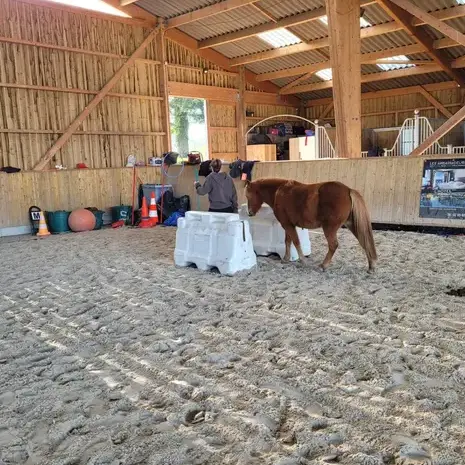 domaine équestre à Pontorson - image 2