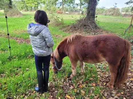 domaine équestre à Pontorson - image 3