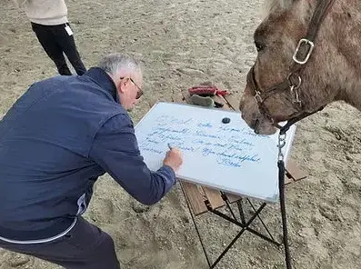 domaine équestre Pontorson-5