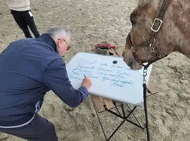domaine équestre à Rennes - image 2