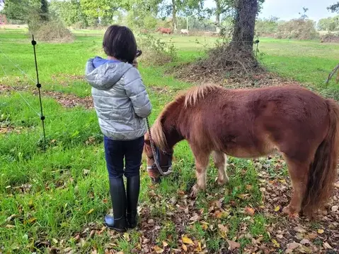 domaine équestre Rennes-5