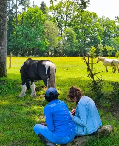 équithérapie Avranches-1