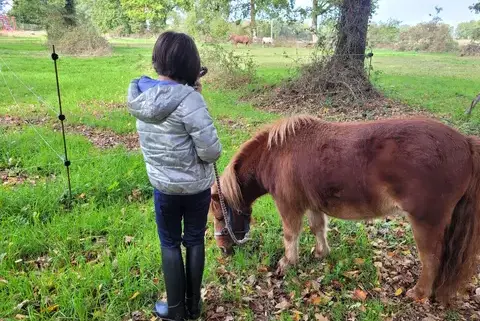 équithérapie Avranches-4