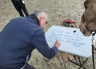 équithérapie Avranches-5