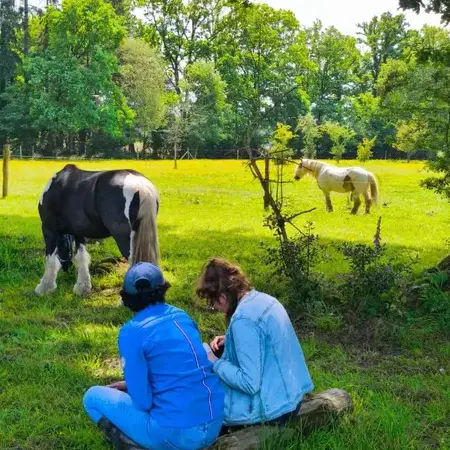équithérapie Bretagne-5