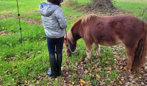 équithérapie Combourg-1