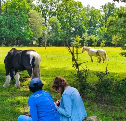 équithérapie Combourg-2
