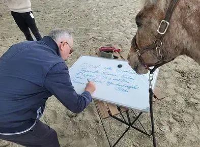 équithérapie Combourg-5