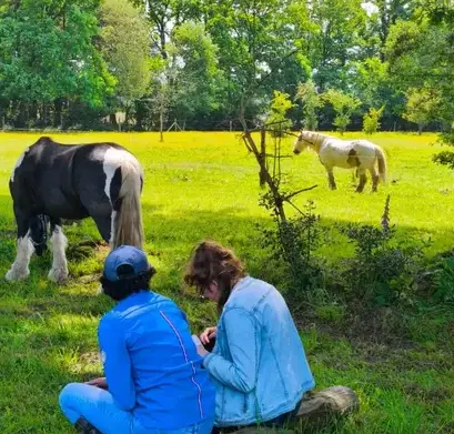 équithérapie Dol-de-Bretagne-3