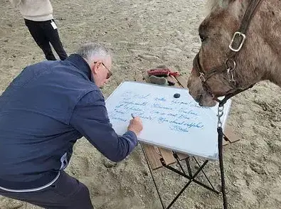 équithérapie Dol-de-Bretagne-5