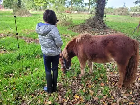 équithérapie à Ille-et-Vilaine - image 3