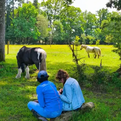 équithérapie Ille-et-Vilaine-5