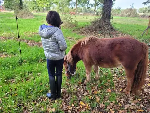 équithérapie Normandie-1