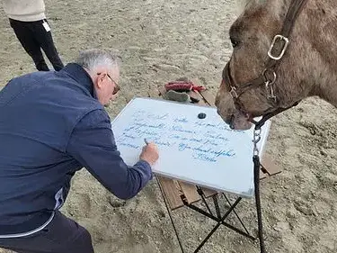 formation equicoaching Avranches-2