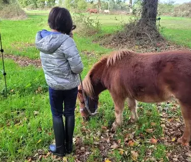 formation equicoaching Avranches-3