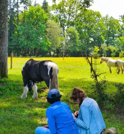 formation equicoaching Avranches-5