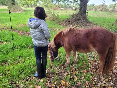 formation equicoaching Bretagne-1