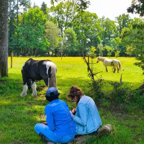 formation equicoaching Bretagne-5