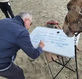 formation equicoaching Combourg-1