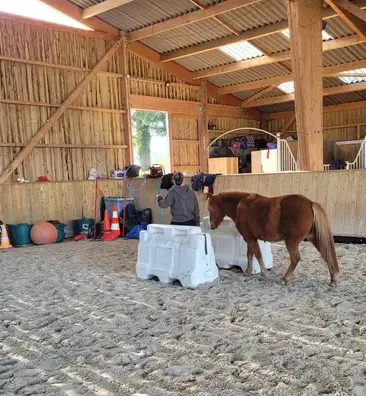 formation equicoaching Combourg-2