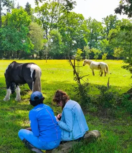 formation equicoaching Combourg-3