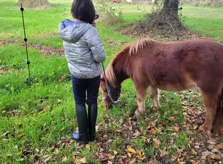 formation equicoaching Combourg-4