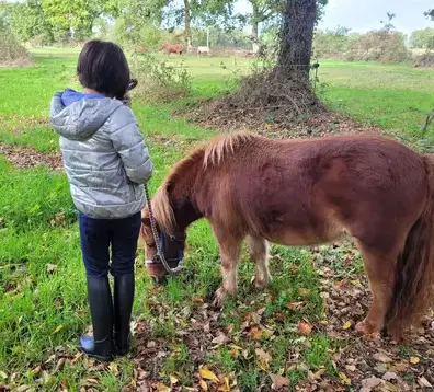 formation equicoaching Dol-de-Bretagne-1