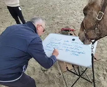 formation equicoaching Dol-de-Bretagne-2