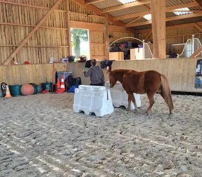 formation equicoaching Dol-de-Bretagne-3